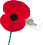 NZ/UK Remembrance Day