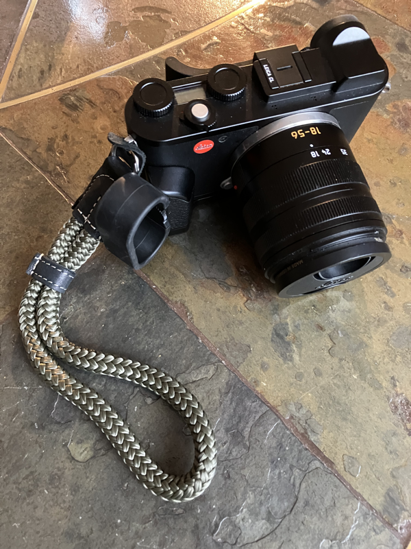 Wrist loop